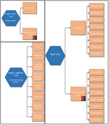 Comparing 16 Different Dual–Tasking Paradigms in Individuals With Multiple Sclerosis and Healthy Controls: Working Memory Tasks Indicate Cognitive–Motor Interference